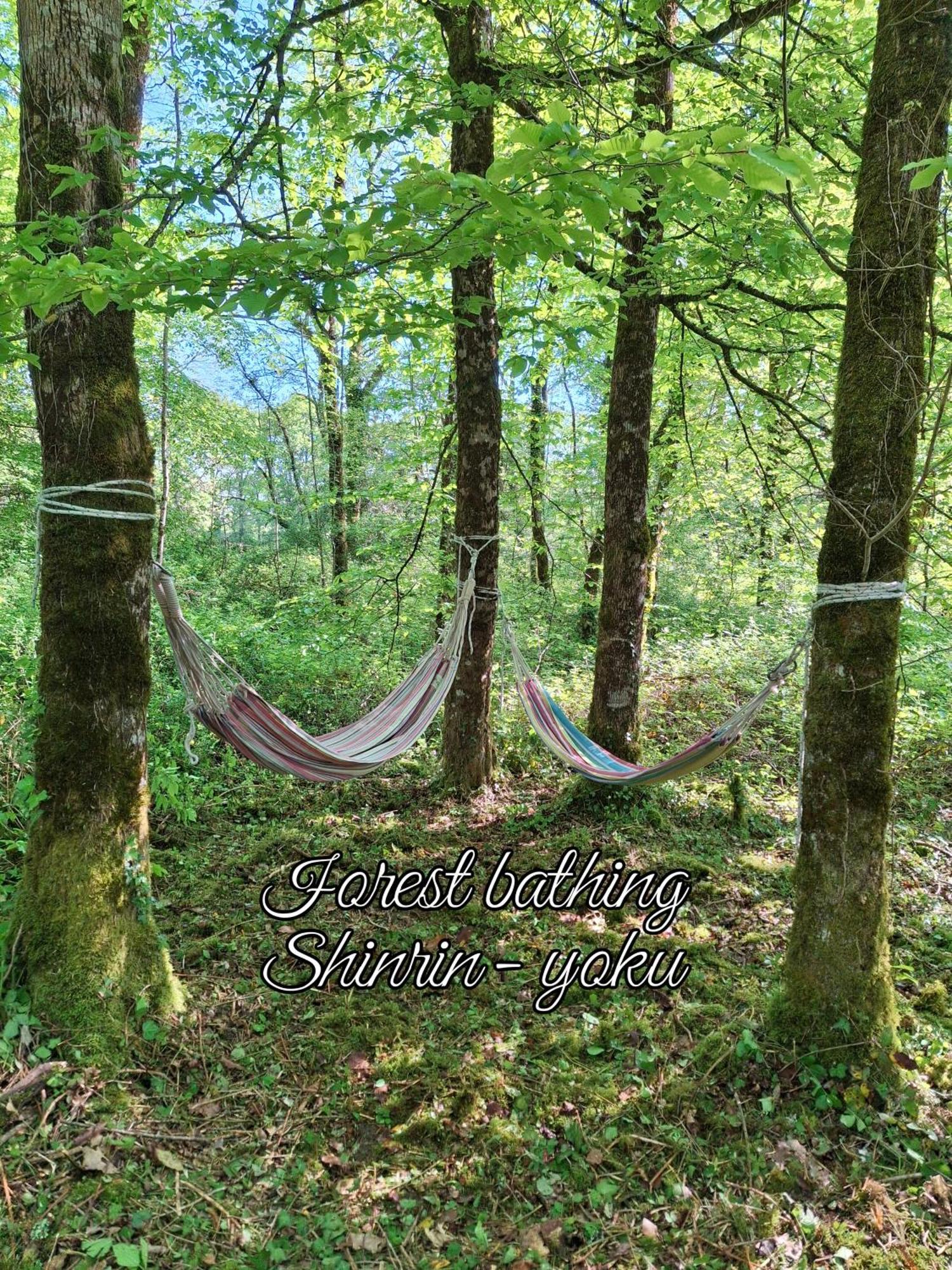 Serenite Verte A La Tuilerie Accommodation La Bazeuge Eksteriør bilde